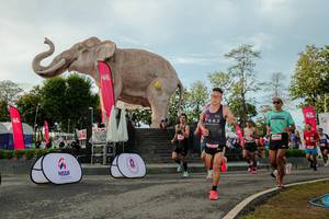 BIB: 
                            <button type="button" onclick="openModal(26529179)" class="btn btn-primary btn-sm float-right btn-popup" data-toggle="modal" data-target=".modal-high-quality">
                        <i class="fas fa-shopping-cart"></i> Add to Cart
                    </button>
                                            <button type="button" onclick="isThisMe(26529179, true)" class="btn btn-success btn-sm float-right btn-popup btn-isme hidden" data-toggle="tooltip" data-placement="bottom" title="นี่คือรูปของคุณใช่ไหม คลิกที่นี่เพื่อเอาเข้าอัลบั้ม">
                        <i class="fas fa-plus"></i> Add to album
                    </button>
                    <button type="button" onclick="isThisMe(26529179, false)" class="btn btn-warning btn-sm float-right btn-popup btn-isnotme hidden">
                        <i class="fas fa-ban"></i> Remove from album
                    </button>